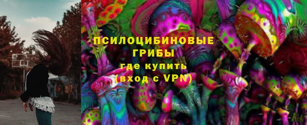 тгк Арсеньев